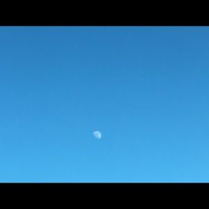 Meet your Posher, Ofelia